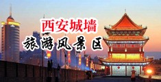 我要看黄色录像操小逼操阴道中国陕西-西安城墙旅游风景区