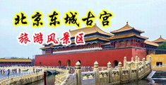 日日日屁屁中国北京-东城古宫旅游风景区